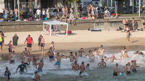 Sydney Shark Attack Northern Beaches Swimmers Urged To Swim Between