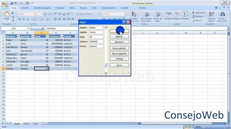 Excel Funcion Formulario En Excel Ingresar Introducir Datos