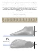 Pawz Dog Boots Size Chart printable pdf download