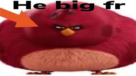 Im Da Biggest Bird Youtube