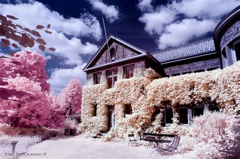 Learn How To Take Infrared Photography Nyfa