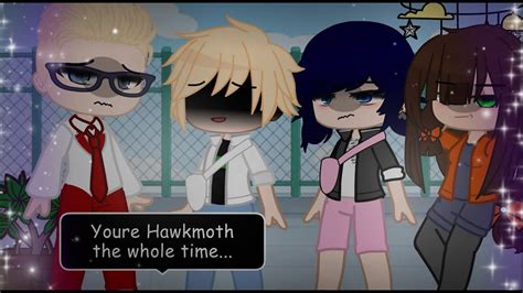 Hawkmoth Saves Marinette PART 2 Meme MLB YouTube