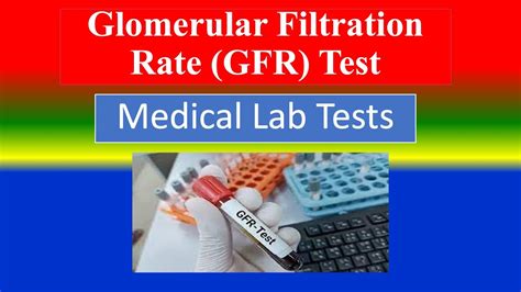 Glomerular Filtration Rate GFR Test Medical Lab Tests What Is