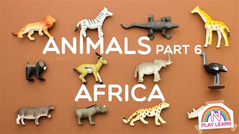 African Animals Sounds