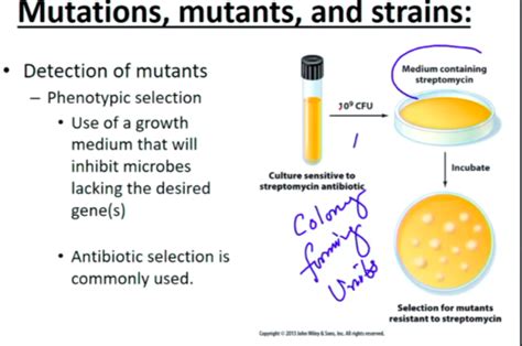 Microbiology Ch 9 Flashcards | Quizlet 