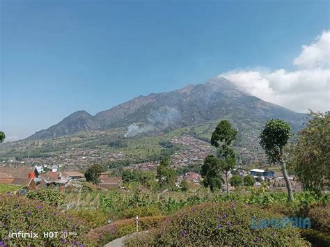 Review Infinix Hot G Smartphone G Murah Fitur Lengkap Masih Memadai Di Laptophia