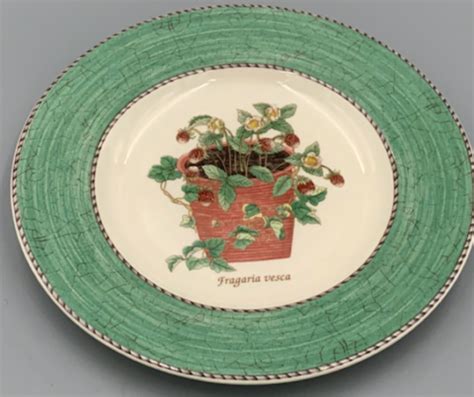 Wedgwood Sarahs Garden Green Dessert Salad Plate Replace