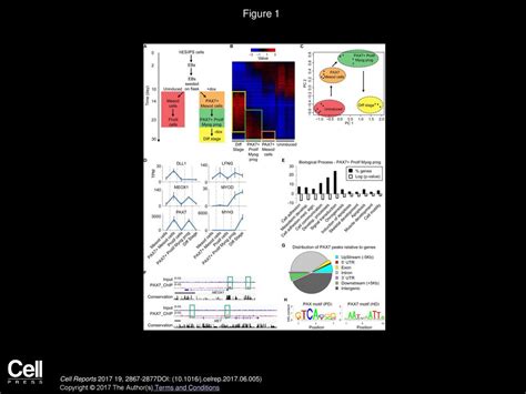 Volume 19, Issue 13, Pages (June 2017) - ppt download