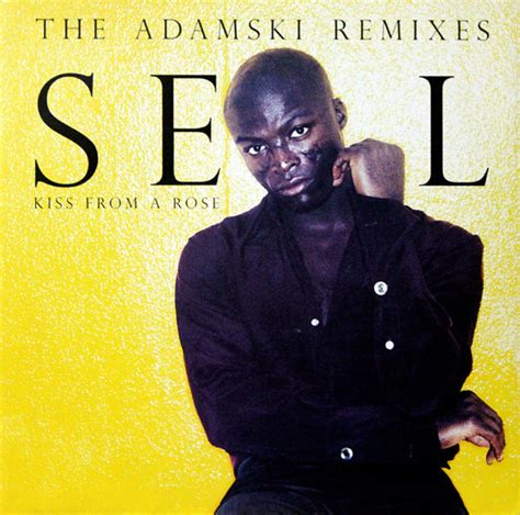 Seal Kiss from a rose (Vinyl Records, LP, CD) on CDandLP