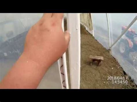 крепление пленки на теплицу, дешево и сердито. - YouTube