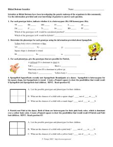 Bikini Bottom Genetics Worksheet Punnett Squares More