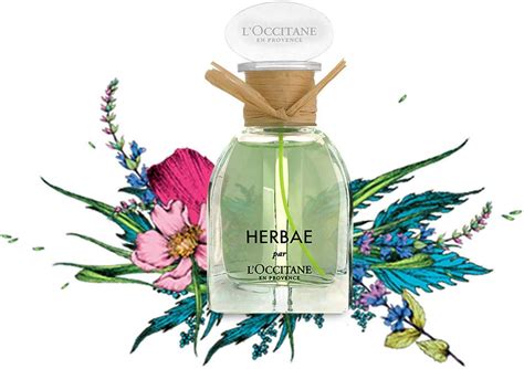 loccitane - Google Search in 2020 | Loccitane, Perfume bottles, Perfume