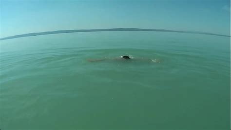 Búsqueda alemana XVIDEOS