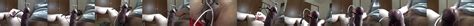 Estim Cumshot Compilation Free Gay Compilation Porn F XHamster