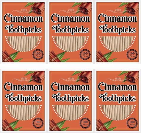 600 Picks Cinnamon Flavored Toothpicks Bulk Cinnamon Toothpicks for ...