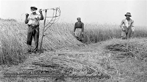 Harvest Folklore – #FolkloreThursday