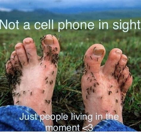 Shut The Fuck Up Anprim R Jreg