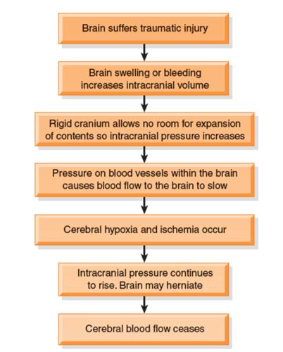 Nur Chapter Management Of Patients With Neurologic Trauma