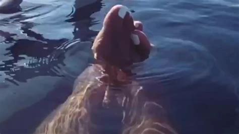 All Dat Azz Pt10 Nipples Nipples Porn XHamster