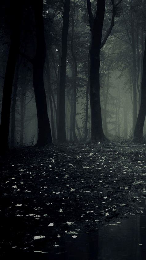 Beautiful Dark Forest Wallpapers Top Free Beautiful Dark Forest