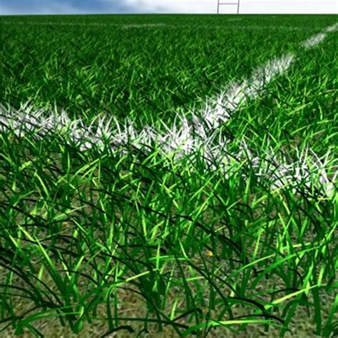 3d Model Rugby Field Grass