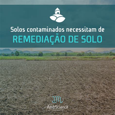 Solos Contaminados Necessitam De Remedia O De Solo Ambscienceambscience