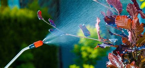 Protecting Your Backyard | Are Pest Control Products Safe | NJ Pest