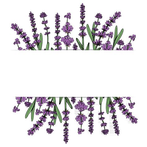 Floral Frame With Lavender Flowers Vector Hand Drawn Illustration