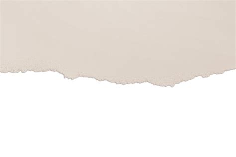 Papier Beige Déchiré Nude Contraste Isolé PSD Premium