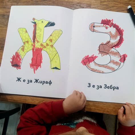 Книжка за оцветяване - Зообука