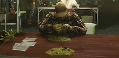 Drug Dealer: Bud Farm Game for Android - Free App Download