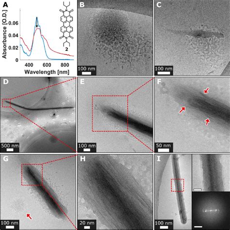 Cryo Tem Images Crystallization Of A Molecular Structure Of