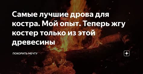 Самые лучшие дрова для костра. Мой опыт. Теперь жгу костер только из ...