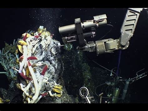 The Potential Uses Of Deep Sea Microbes Youtube