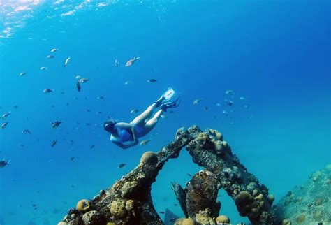 Curaçao Half Day Snorkelling Trip Book online PADI Adventures