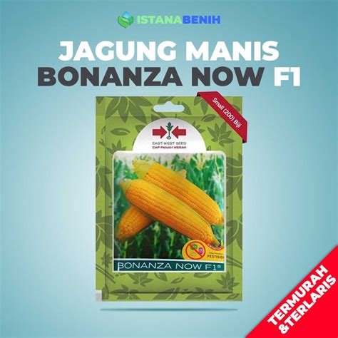 Jual Benih Jagung Manis Bonanza Now F Cap Panah Merah Isi Benih