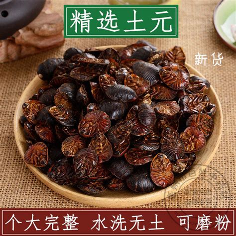 中药材 土元 新货土鳖虫 地鳖虫 蛰虫 新鲜干货 散装500gChinese medicinal herbs Tuyuan New goods earthen turtle insects ...