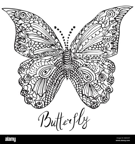 Ornamental Hand Drawn Sketch Of Butterfly In Zentangle Style Vector