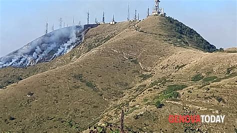 Monte Fasce Incendio Sotto Controllo Ipotesi Dolosa