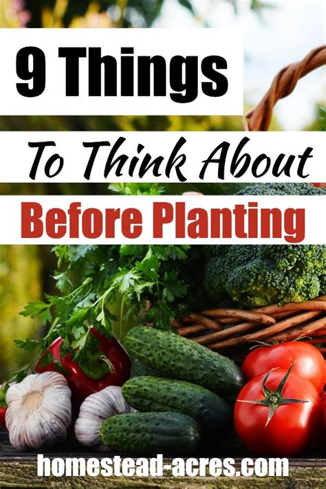 9 Tips For Deciding What To Plant In Your Vegetable Garden How To Harvest Lettuce Vegetable