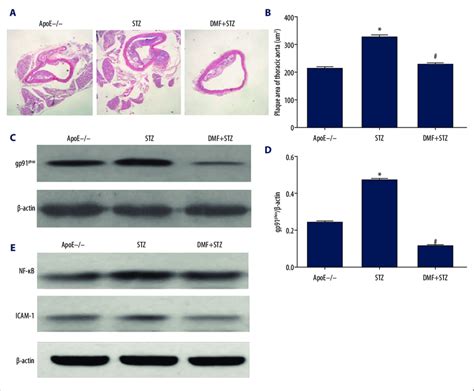 Comparison Of The Findings In The Three Groups Of Apolipoprotein