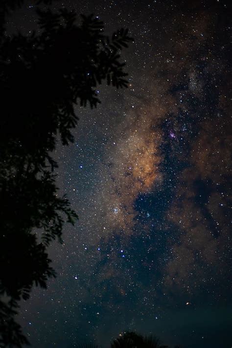 Stars in the Dark Sky · Free Stock Photo