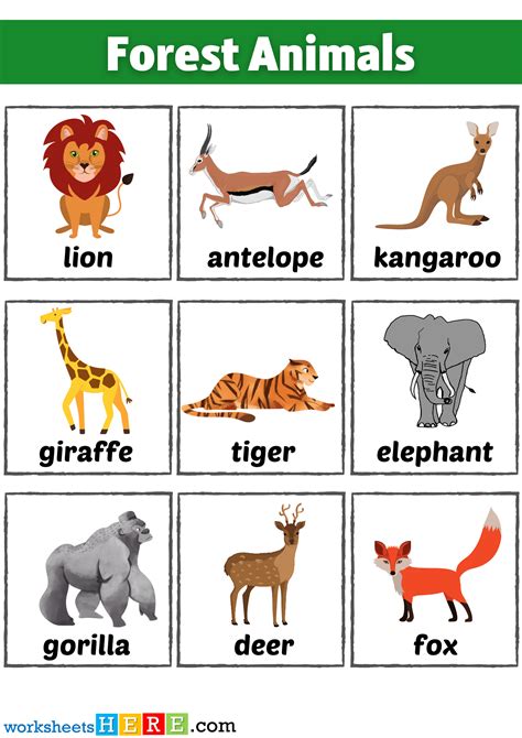 Forest animals names flashcards forest animals names with pictures ...