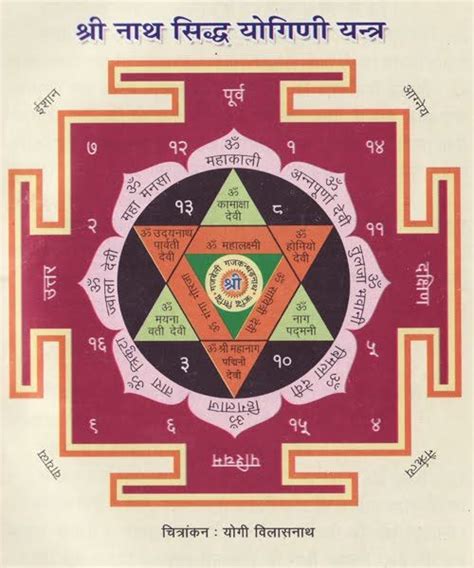 Yogini Yantra Nath Siddha Tradition Tantra Art Tantra Shiva Hindu