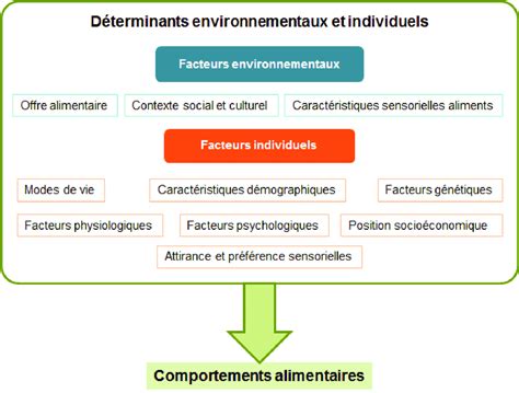 D Terminants Environnementaux Et Individuels Des Comportements