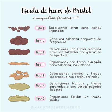 Escala De Heces De Bristol Yudocorg Udocz