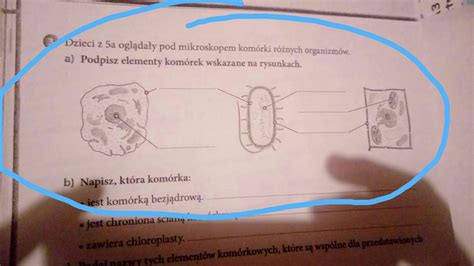 Dzieci Z Pi Tej A Ogl Da Y Pod Mikroskopem Kom Rki R Nych Organizm W