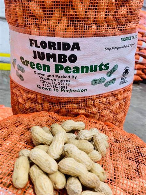 Were Nuts About These Peanut Farms In Florida • Authentic Florida