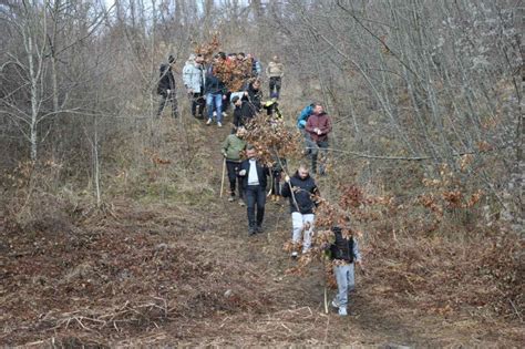 Novosti Rs Galerija Ne Boje Se Kurtijevog Terora Stefan I