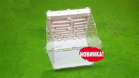 Формикарий (муравьиную ферму) для муравьев можно купить в нашем ...